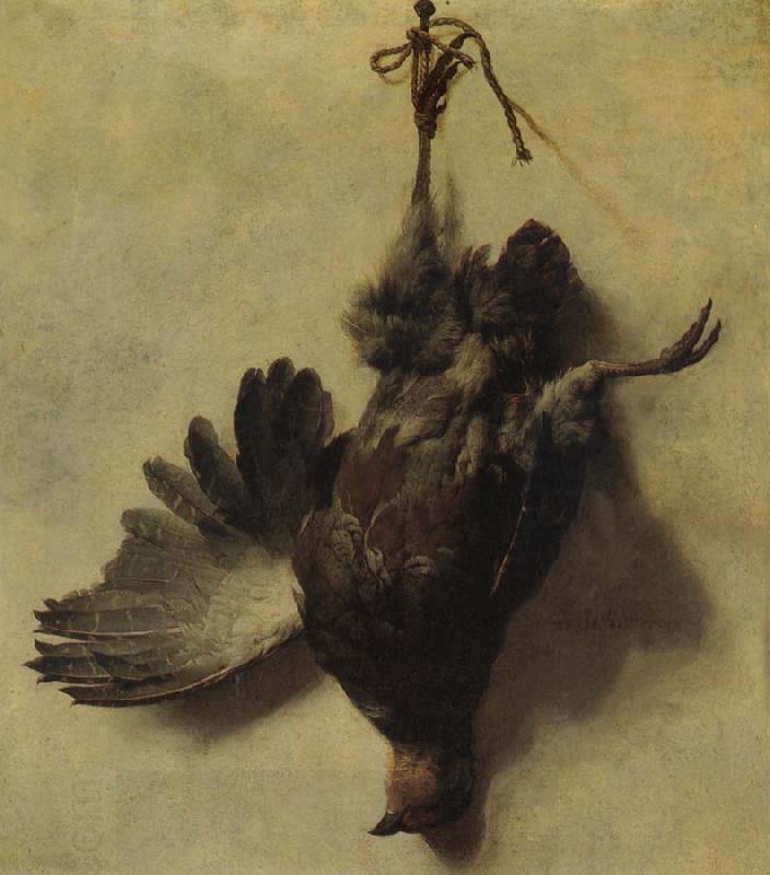 WEENIX, Jan Baptist Dead Partridge